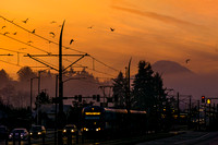 Birds, Light Rail and Mt. Rainier at sunset